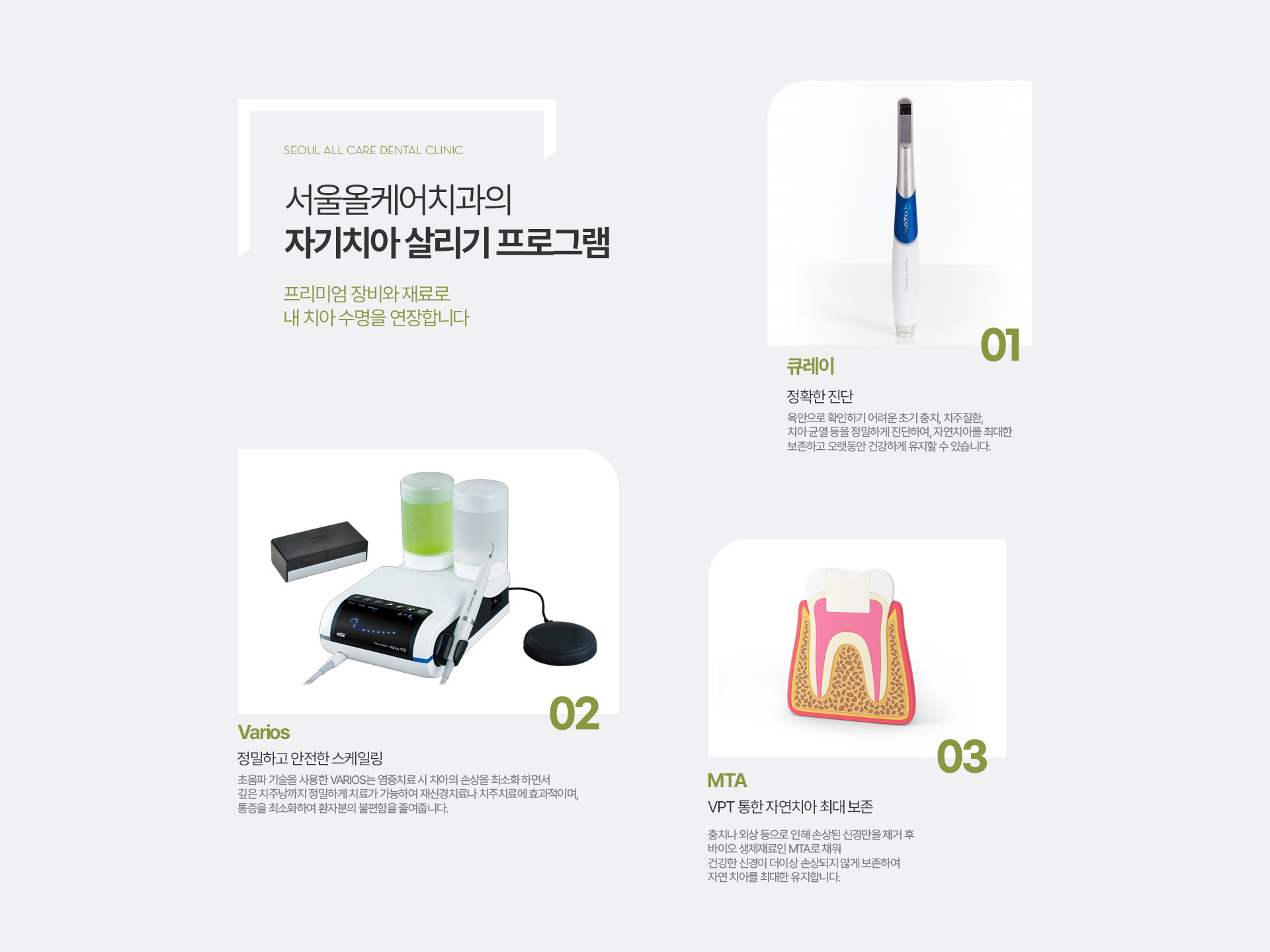 서울올케어치과의 자기치아 살리기 프로그램